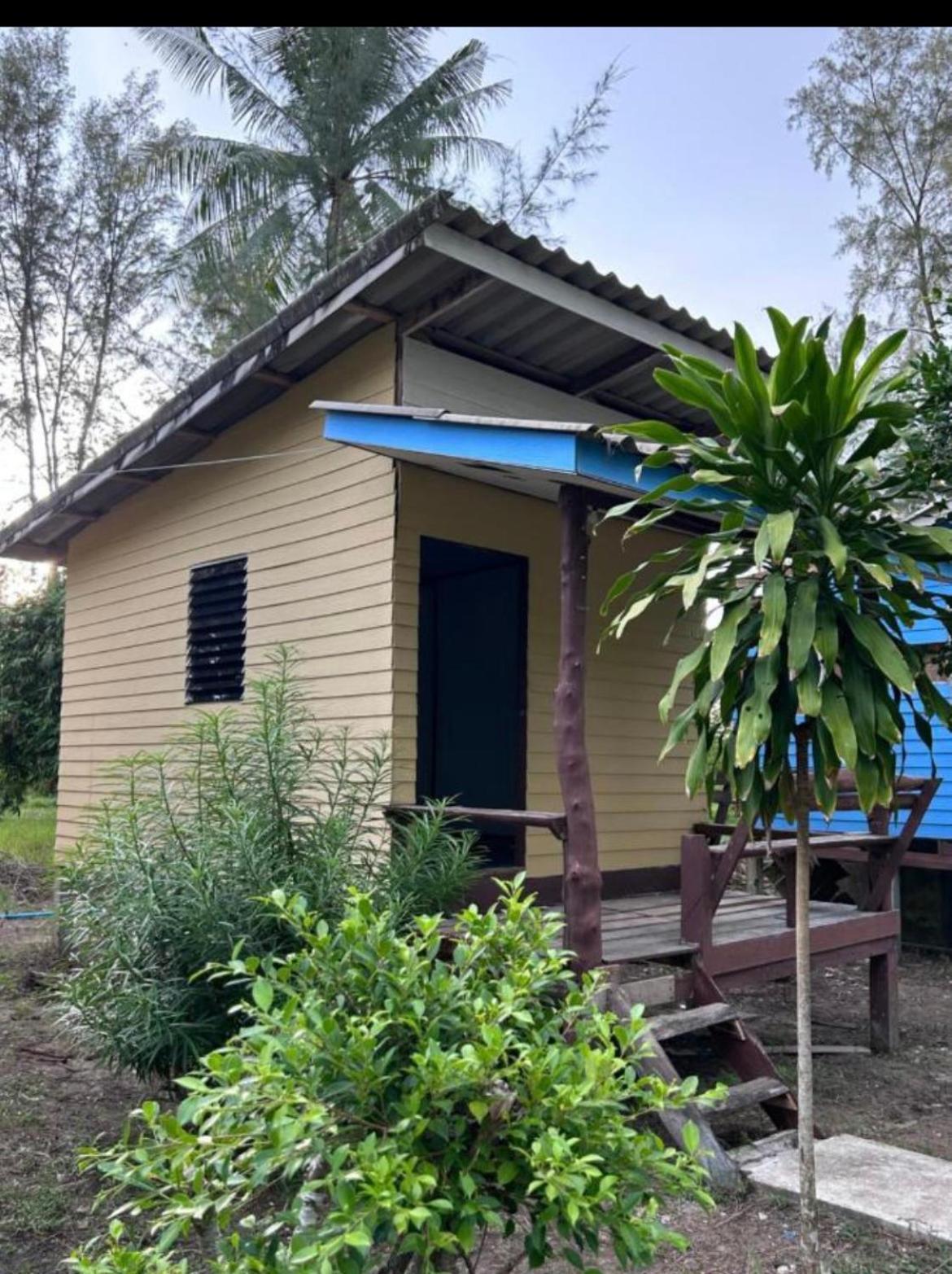 קו לנטה Neverland Beach Village Bungalows מראה חיצוני תמונה