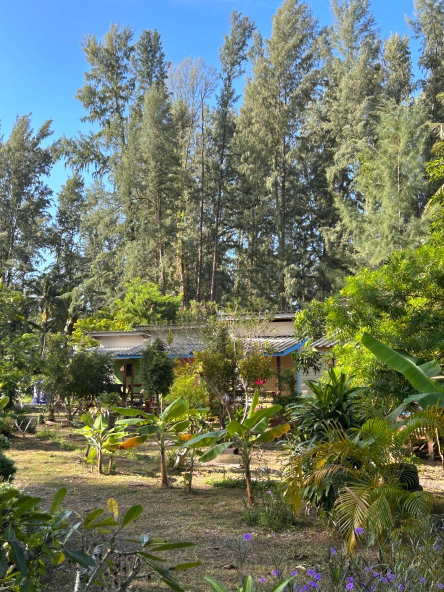 קו לנטה Neverland Beach Village Bungalows מראה חיצוני תמונה