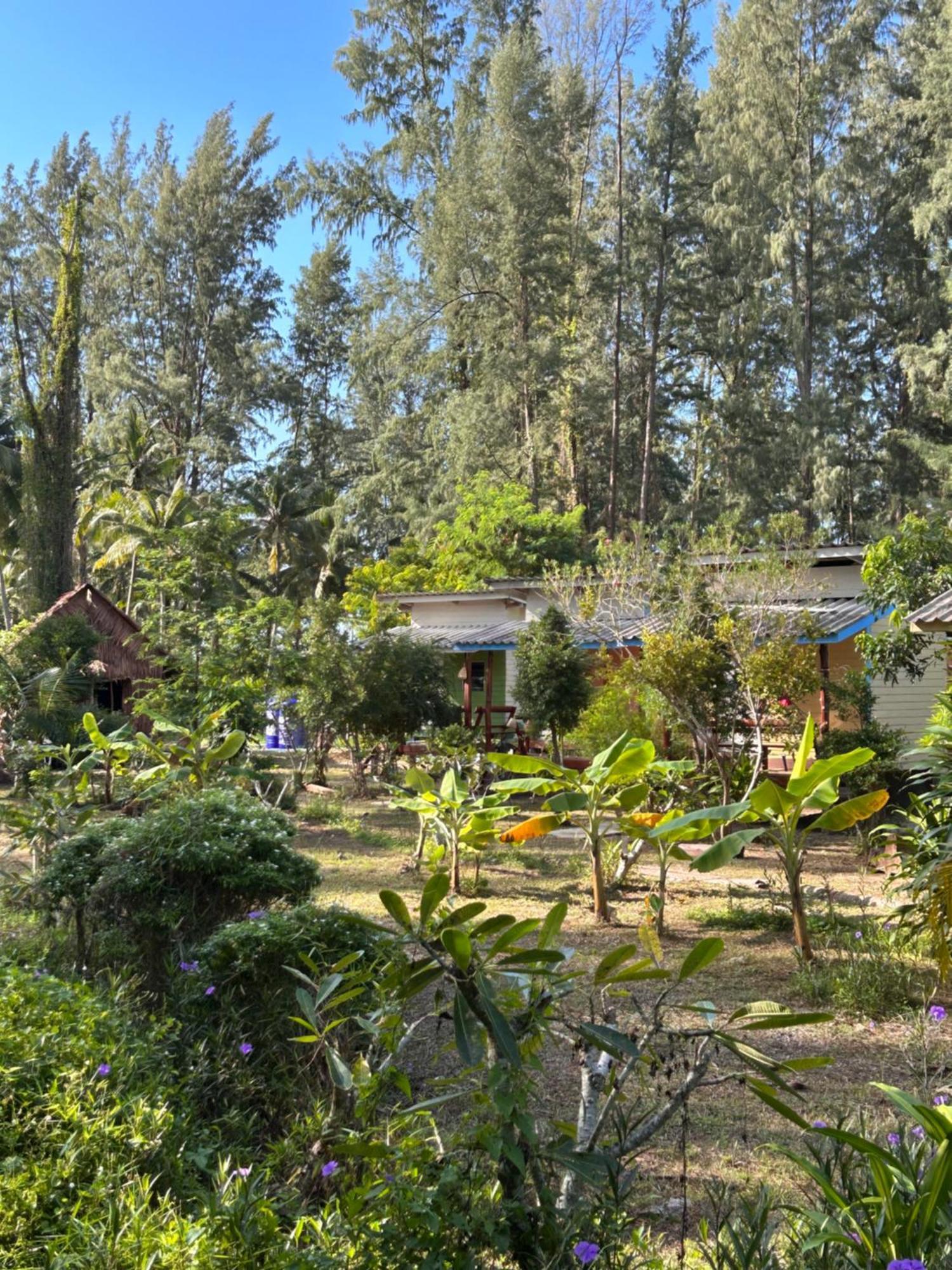 קו לנטה Neverland Beach Village Bungalows מראה חיצוני תמונה