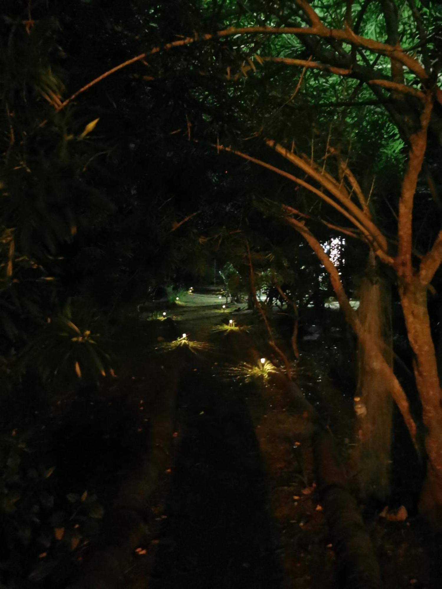 קו לנטה Neverland Beach Village Bungalows מראה חיצוני תמונה