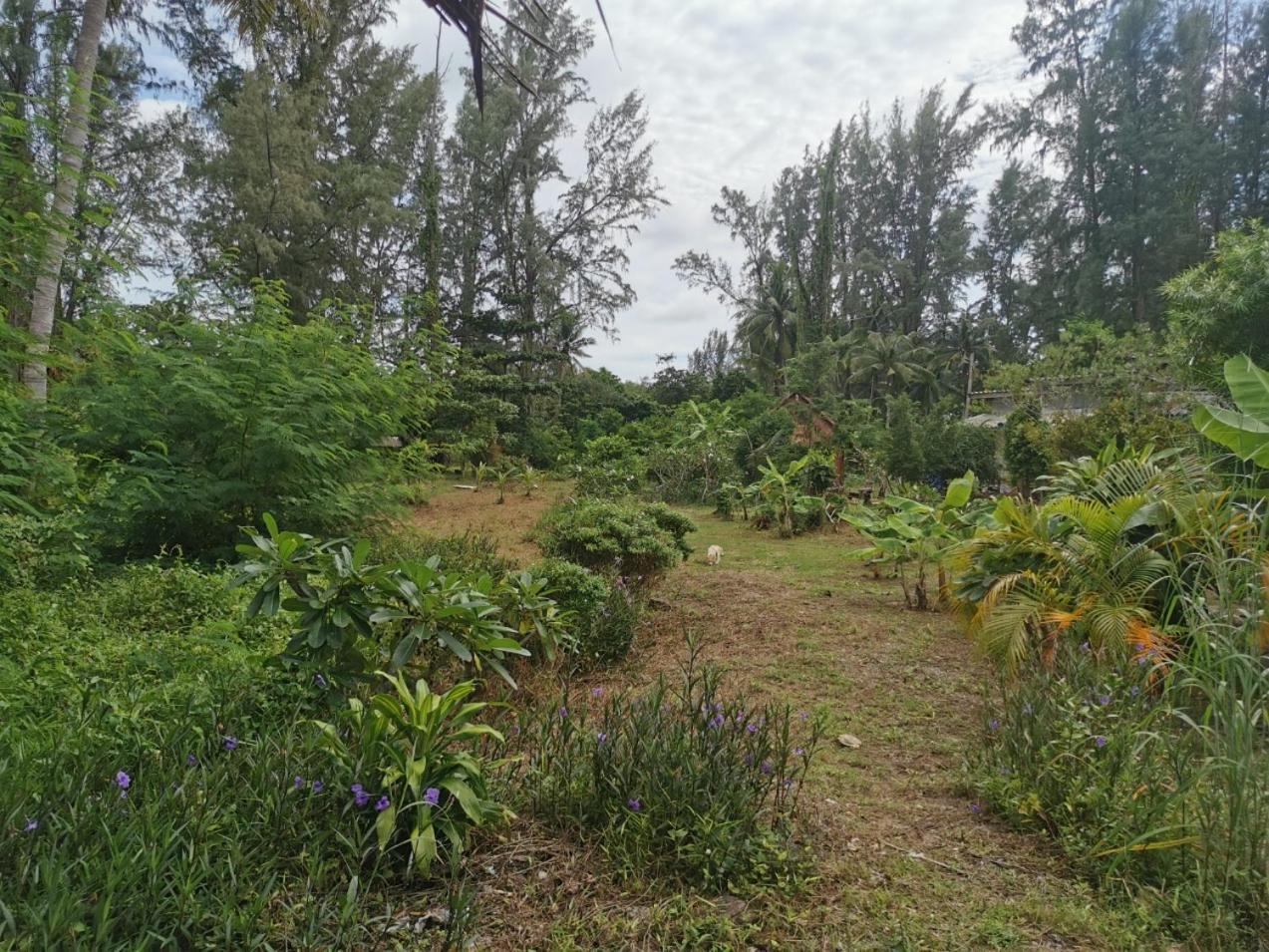 קו לנטה Neverland Beach Village Bungalows מראה חיצוני תמונה