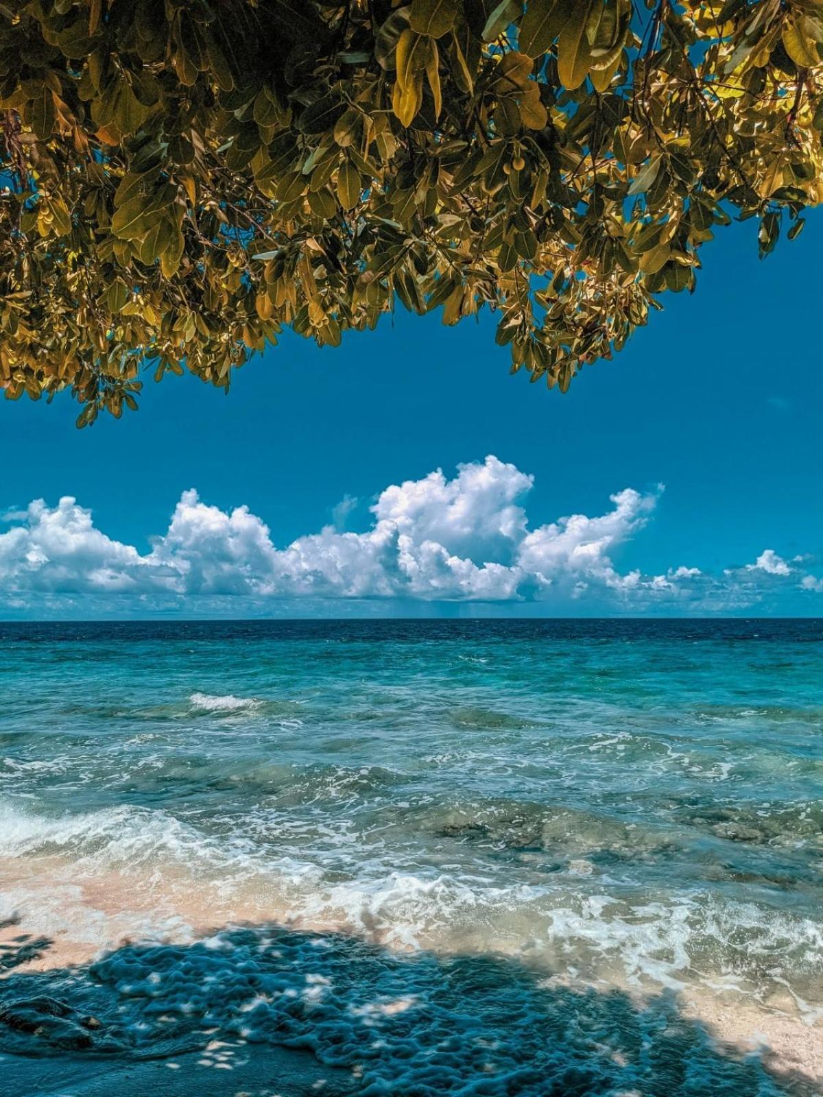 קו לנטה Neverland Beach Village Bungalows מראה חיצוני תמונה